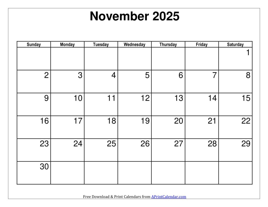 November 2025 Calendar Sunday Start